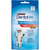 Purina DentaLife Cat salmon 40 g