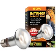ExoTerra Intense Basking Spot terarijní žárovka 50 W - Osvětlení