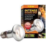 ExoTerra Intense Basking Spot terarijní žárovka 75 W - Výprodej