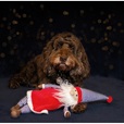 Rosewood Jolly Santa - Hračky pro psy