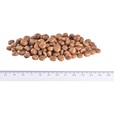 Brit GF Veterinary Diets Cat Struvite 2 kg - Granule pro kočky, krmivo pro kočky