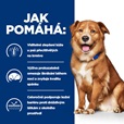 Hill's Prescription Diet Canine Derm Complete 4 kg - Granule pro psy