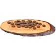 Carnilove Salmon & Turkey for Large Breed Adult 4 kg - Granule pro psy