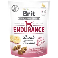 Brit Care Dog Functional Snack Endurance Lamb 150 g - Pamlsky pro psy
