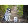 Brit Care Dog Crunchy Cracker Puppy Insect with Whey enriched with Probiotics 20 - Pamlsky pro psy