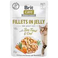 Brit Care Cat kaps. Fillets in Jelly with Fine Trout & Cod  85 g