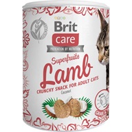 Brit Care Cat Snack Superfruits Lamb 100 g - Pamlsky pro kočky