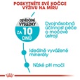 Royal Canin - Feline Urinary Care 10 kg - Granule pro kočky, krmivo pro kočky