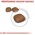 Royal Canin - Feline Urinary Care 10 kg - Granule pro kočky, krmivo pro kočky