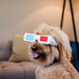 P.L.A.Y. Holywoof Cinema 3D brýle  - Hračky pro psy