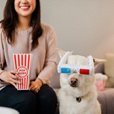 P.L.A.Y. Holywoof Cinema 3D brýle  - Hračky pro psy