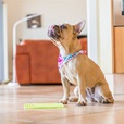 LickiMat Playdate lízací podložka tyrkysová  - Misky a příslušenství
