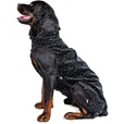 Obleček Vesta Stilla černá 65cm - Oblečky pro psy: vesty, bundy, kombinézy