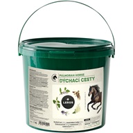 Leros Pulmoran Horse Dýchací cesty 1 kg - Kůň