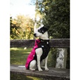 Obleček Vesta Splendor ll srdíčko-tmavě růžová 36cm - Oblečky pro psy: vesty, bundy, kombinézy