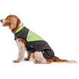 Obleček Vesta Splendor ll srdíčko-zelená 24cm - Oblečky pro psy: vesty, bundy, kombinézy