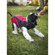 Obleček vesta Arbor II černá-červená 24cm - Oblečky pro psy: vesty, bundy, kombinézy