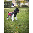 Obleček vesta Arbor II černá-červená 40cm - Oblečky pro psy: vesty, bundy, kombinézy