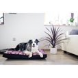 Matrace nylon Sychrov pampeliška 90x60cm - Pelíšky pro psy, pelechy, textilní boudy