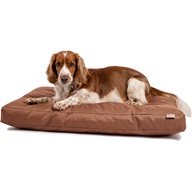 Matrace nylon Lazy paměťová hnědá 120x100x15 - Pes