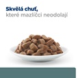 Hill's Prescription Diet Feline w/d kaps. 12 × 85 g - Akční nabídka
