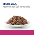 Hill's Prescription Diet Feline Biome Gastrointestinal kaps. 12 × 85 g - Konzervy pro kočky