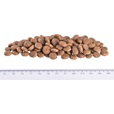 Brit GF Veterinary Care Cat Sterilised 5 kg - Veterinární diety pro kočky