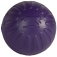 Starmark Fantastic DuraFoam Ball L mix barev - Letní tipy