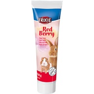 Trixie Red Berry sladová pasta s lesními plody pro hlodavce 100 g