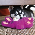KONG Snuzzles Bunny M - Hračky pro psy