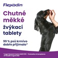Flexadin Adult Dog žvýkací 60tbl - Doplňky výživy, zubní péče