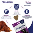 Flexadin Adult Dog žvýkací 60tbl - Doplňky výživy, zubní péče