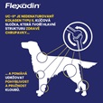 Flexadin Adult Dog žvýkací 60tbl - Doplňky výživy, zubní péče