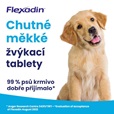 Flexadin Young Dog Maxi žvýkací 60tbl - Doplňky výživy, zubní péče