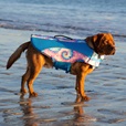 Canada Pooch plovací vesta Wave Rider XXL tie dye - Letní tipy