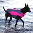 Canada Pooch plovací vesta Wave Rider XXL růžová - Akční nabídka