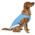 Canada Pooch chladicí vesta Chill Seeker vel. 10 modrá - Výprodej