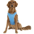 Canada Pooch chladicí vesta Chill Seeker vel. 14 modrá - Letní tipy