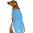 Canada Pooch chladicí vesta Chill Seeker vel. 32 modrá - Výprodej