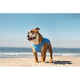 Canada Pooch chladicí vesta Chill Seeker vel. 32 modrá - Výprodej