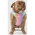 Canada Pooch chladicí vesta Chill Seeker vel. 10 duhová - Akční nabídka