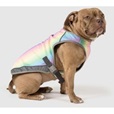 Canada Pooch chladicí vesta Chill Seeker vel. 32 duhová - Výprodej