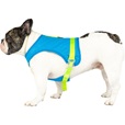 Canada Pooch chladicí postroj Chill Seeker vel. 18 modrý - Letní tipy