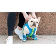 Canada Pooch chladicí postroj Chill Seeker vel. 18 modrý - Letní tipy