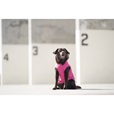 Canada Pooch pláštěnka Torrential Tracker vel. 28 růžová - Letní tipy