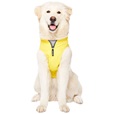 Canada Pooch pláštěnka Grow-With-Me M žlutá - Akční nabídka