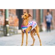 Canada Pooch chladicí vesta Chill Seeker vel. 14 tie dye - Letní tipy