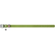 WAUDOG Classic obojek 2 × 30–39 cm zelený - Obojky