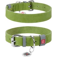 WAUDOG Classic obojek 3,5 × 46–60 cm zelený - Obojky na kovovou přezku
