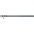 WAUDOG Classic obojek 3,5 × 46–60 cm šedý - Obojky